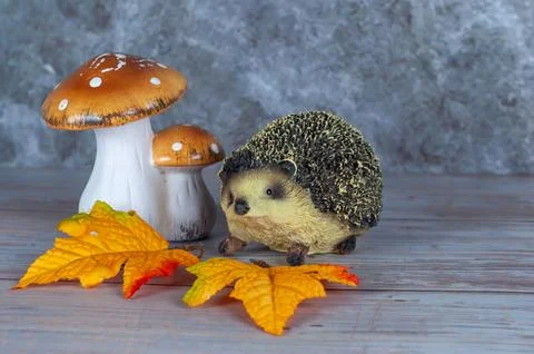 A small hedgehog is sitting on a leaf next to a mushroom Stock Photos