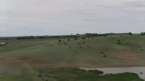 A small herd of horses on a cloudy day, framed with a drone Stock Footage 151227624