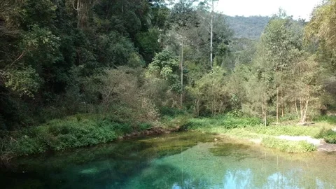 Small hidden creek Stock Footage