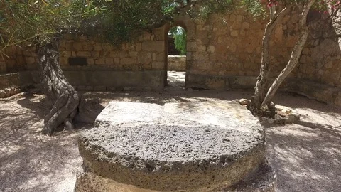 Small Hidden Garden with Olive Trees Stock Footage 77805529