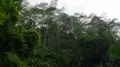 Small hidden rocky waterfall in jungle valley in Bali - Indonesia 4k or 4k+ Resolution