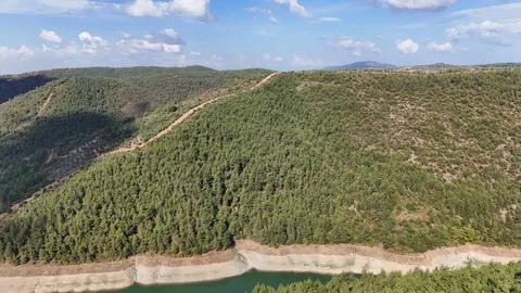 A small hill covered by pine tree forest in nature. Drone view Stock Photos