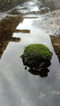 Small hill in the ditch Foto stock