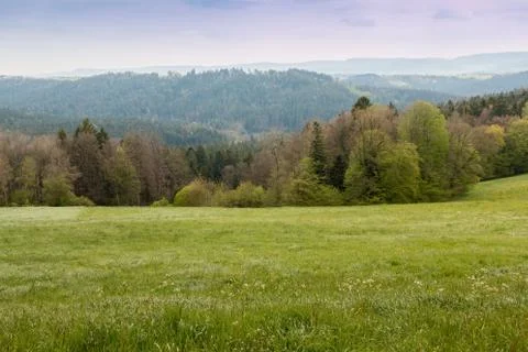 Small hills, green fields, green meadows and green forests Stock Photos
