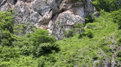 Small hillside ridge on a clear day Video stock 52879158
