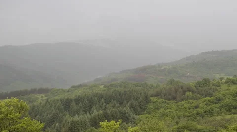 Small Hilly Forest Storm Stock Footage 51534411