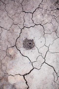 A small hole in the ground Stock Photos