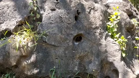 Small Hole in Rock Formation Stock Footage 331192294