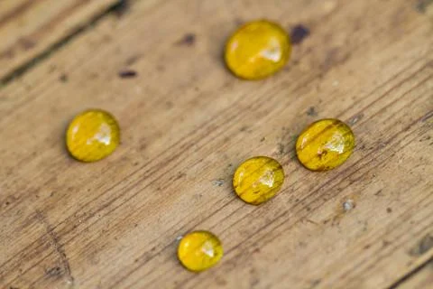 Small Honey drops Stock Photos