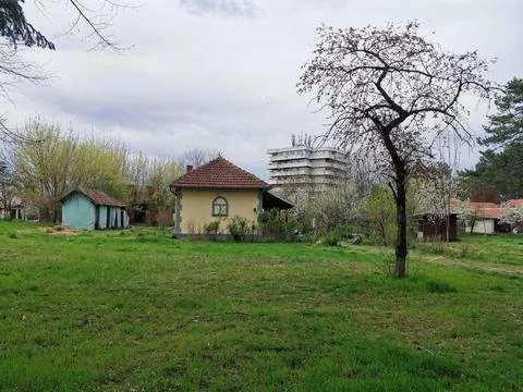 Small house and leafless tree in green yard suburban scene 스톡 사진