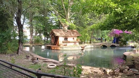 Small house and pond with ducks in Viareggio, Italy, June 2 2026 Stock Footage 336206320