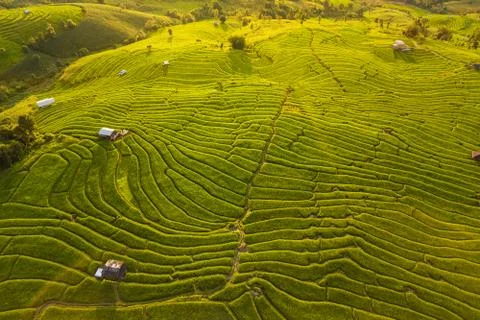 Small house and rice terraces field at pabongpaing village rice terraces Mae-Jam Stock Photos