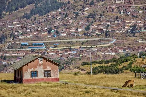 Small house with animals in front of a view of humble houses Stock Photos