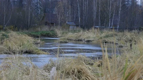 Small house behind a flowing river andwaving grass around it Stock Footage 150433798