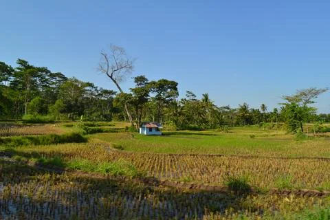 A Small House in the Fields Stock Photos