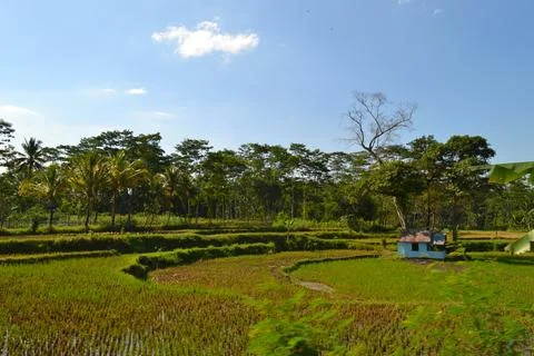 A Small House in the Fields Stock Photos