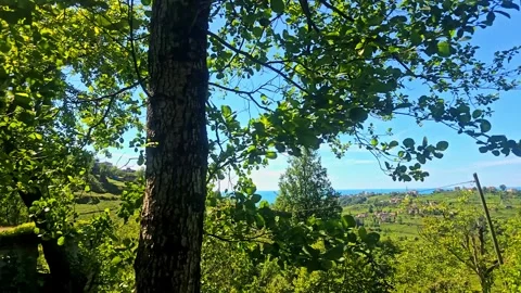 A small house in the. Stock-Footage 282963076