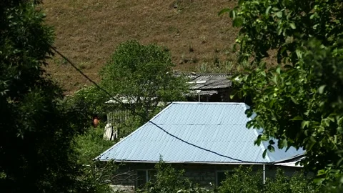 Small House in Forest Stock Footage 189802578