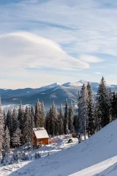 Small house in the forest. Stock Photos