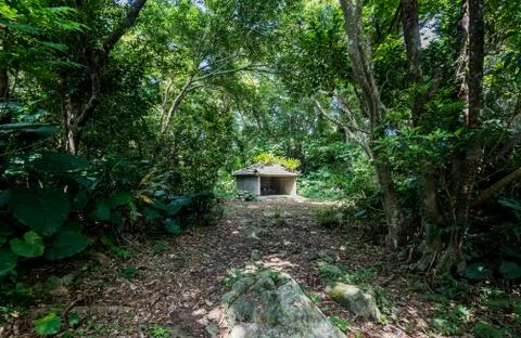 Small house in the forest Stock Photos