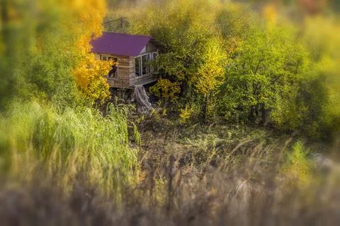A small house in the forest Stock Photos