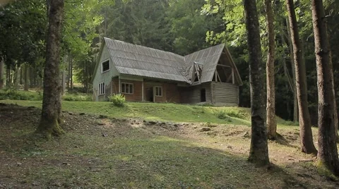  Small house in the forest under the light summer rain 動画素材 41355936