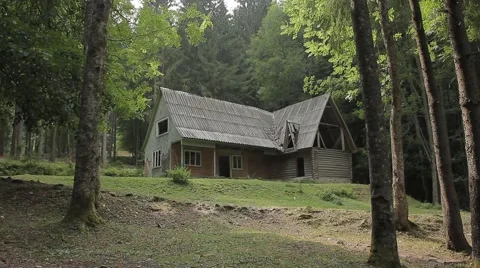  Small house in the forest under the light summer rain Video stock 41362559