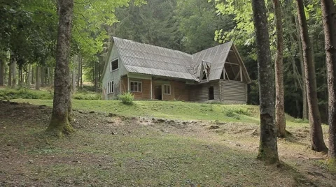  Small house in the forest under the light summer rain 動画素材 41363399