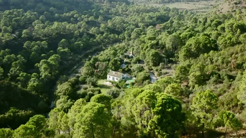 Small house hidden in warm forest ready for tourist accomodation Stock Footage 167553974