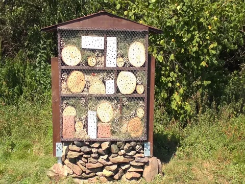 Small house for insect Stock-Footage 72958746