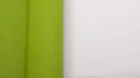 Small house lizard hiding behind curtain and run away Stock Footage 242274009