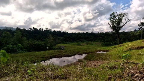 A small house in the middle of deforested area, leftovers of an old goldmine Stockbeeldmateriaal 336916906