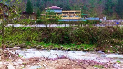 A small house in the middle of a forest Stock Footage 272800945