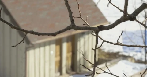 Small house on the mountain Vídeo Stock 104506496