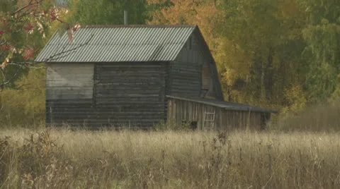 Small house near the forest Stock Footage 10797700