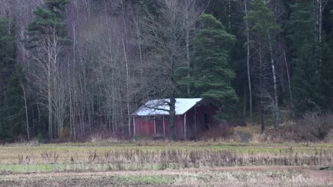 Small house near the forest, surrounded by trees, nature. Stock Footage 321744348