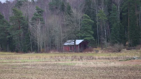Small house near the forest, surrounded by trees, nature. Stock Footage 321744358