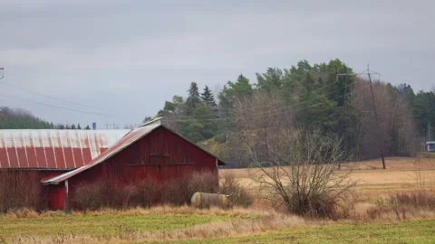 Small house near the forest, surrounded by trees, nature. Stock Footage 321744366