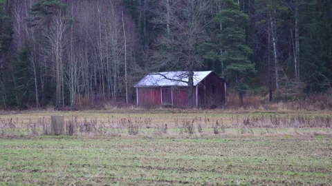 Small house near the forest, surrounded by trees, nature. Stock Footage 321744367