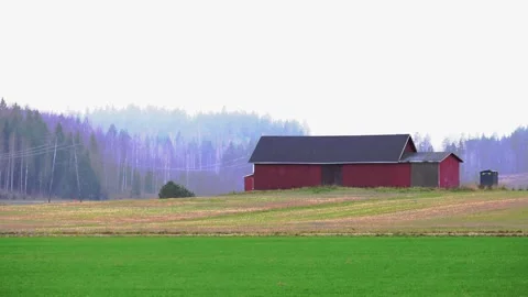Small house near the forest, surrounded by trees, nature. Stock Footage 321744584