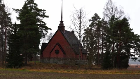 Small house near the forest, surrounded by trees, nature. Stock-Footage 321744630