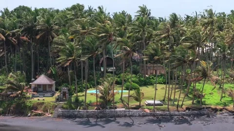 A small house is nestled in the middle of a lush jungle, Cottage wooden in the j Stock Footage 288122102