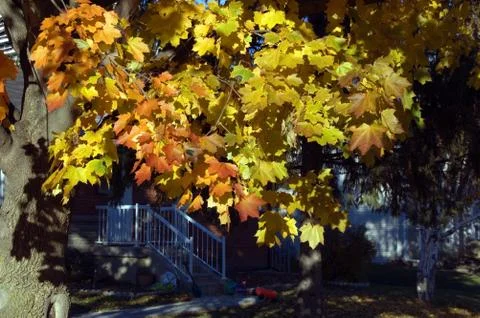 Small house Stock Photos