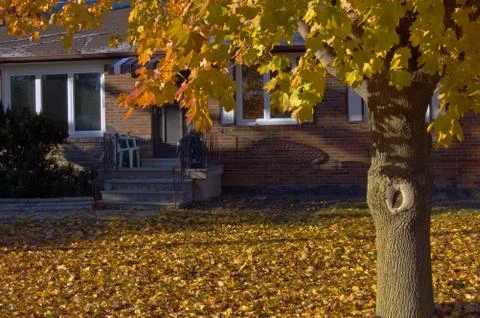 Small house Stock Photos