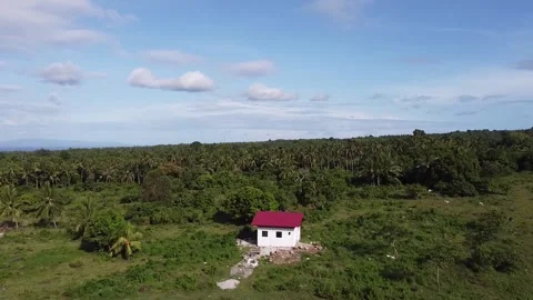 Small house surrounded by trees Stock Footage 183668270