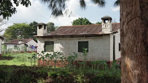 Small House in the Village Stock Footage 290075445