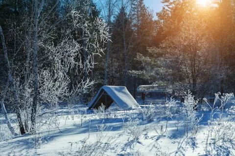 Small house in the winter forest Stock Photos