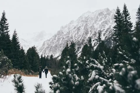 Small human figures walking towards High Tatra mountains through pine tree fo Stock Photos