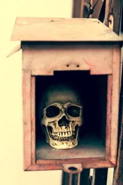 Small human skull in mail box Stock Photos