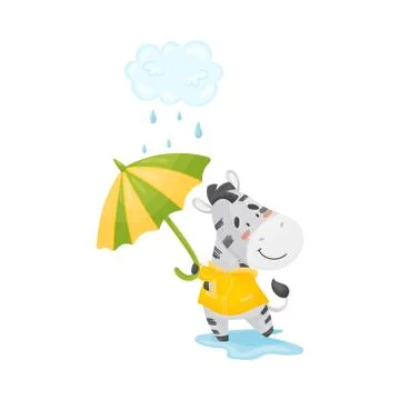 Small humanized zebra walks in the rain. Vector illustration. Illustrazione stock